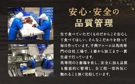 国産 馬刺し 赤身 約400g 熊本県 馬肉 小分け 冷凍 馬刺し 馬刺