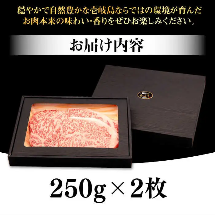 壱岐牛 サーロインステーキ 500g（250g×2枚）《壱岐市》【株式会社イチヤマ】 肉 牛肉 サーロイン ステーキ 焼肉 BBQ [JFE004] 31000 31000円