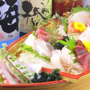 海老名の居酒屋さざんと居酒屋海で絶品料理とお酒を楽しめるお食事券5000円分 【 神奈川県 海老名市 】