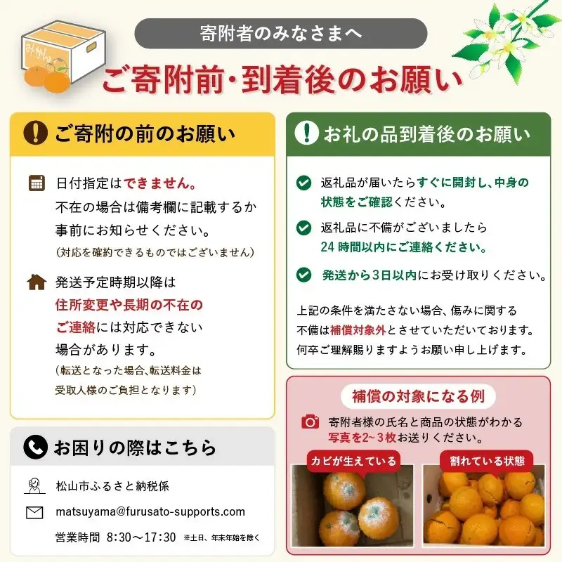 【甘平】【2027年2月中旬頃から順次発送】希望の島 ジャンボ甘平 特大（6L以上）約1kg（2玉）愛媛県松山市【FT0291】