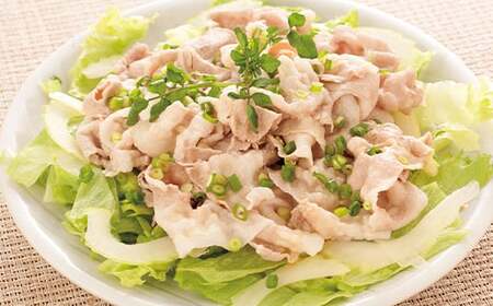 《定期便4回》 山形豚満喫定期便 計2.55kg (しゃぶしゃぶ・生姜焼き・とんかつ用) 山形県産 銘柄豚 認定 ブランド豚 豚肉 ロース バラ 山形県 南陽市 [1841]