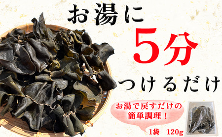 岬だより コリコリ食感・粘り抜群の乾燥めかぶ　120g×3袋