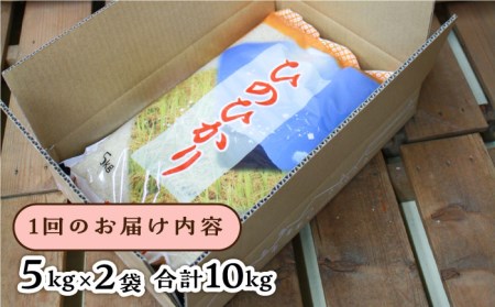 【全6回定期便】ひのひかり 10kg × 6回  糸島市 / 三島商店 [AIM015] 米 白米