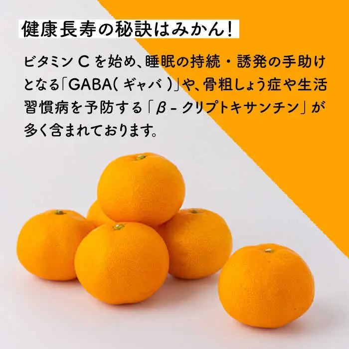 【先行予約】原口早生 みかん 約5kg [OCU003] みかん