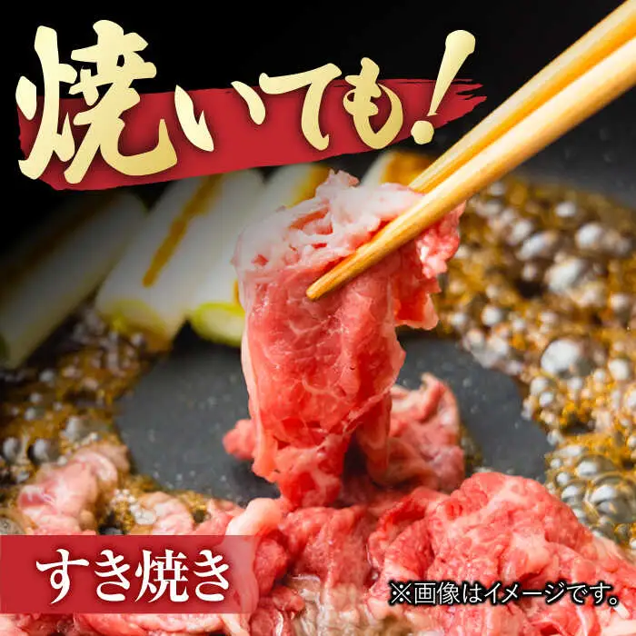 佐賀牛 切り落とし 計 600g （ 150g ×4パック） きりおとし 黒毛和牛[FDC008]