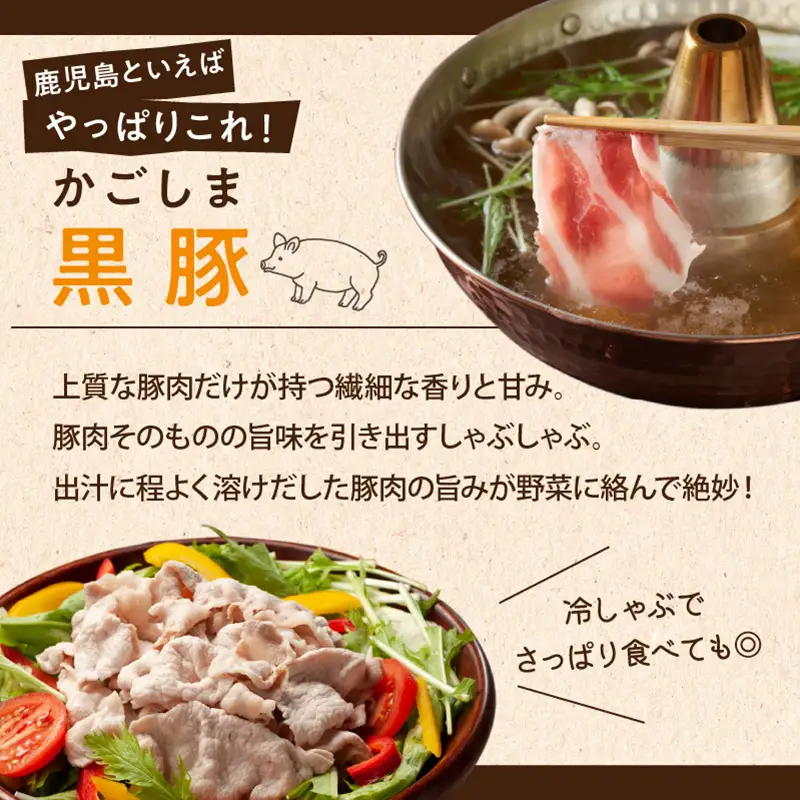 【岩元精肉店】鹿児島県産黒毛和牛・かごしま黒豚 お楽しみ2か月お届けコース K045-T02 肉 豚肉 牛肉 惣菜 総菜 冷凍