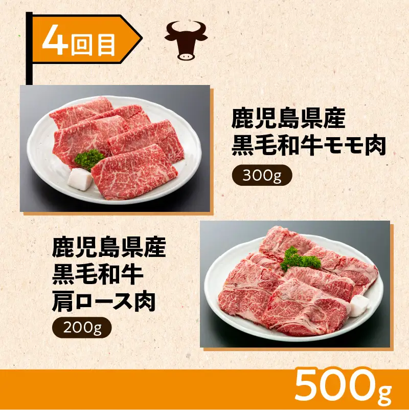 【 岩元精肉店 】 鹿児島県産 精肉 厳選 4か月 お届け コース K045-T04 肉 豚肉 牛肉 鶏肉 冷凍