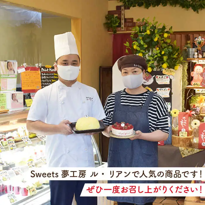 クランベリーチーズケーキ 直径15cm [OAD002] ケーキ