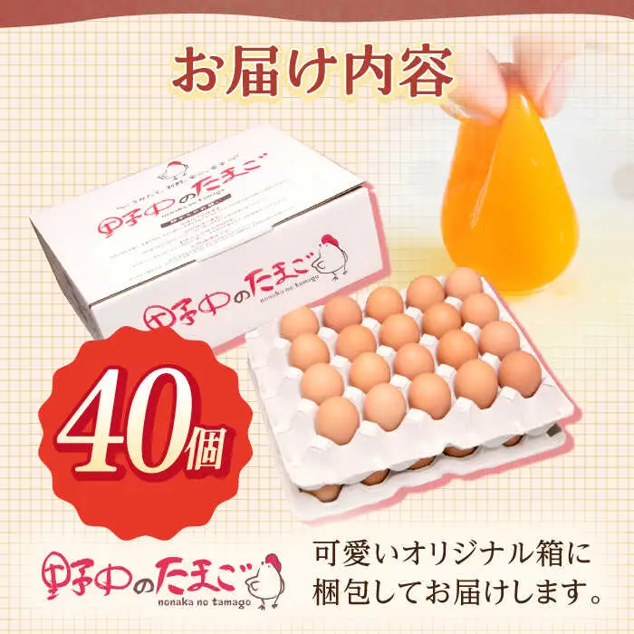 産みたて新鮮たまご 野中のたまご 40個[OAC001] 