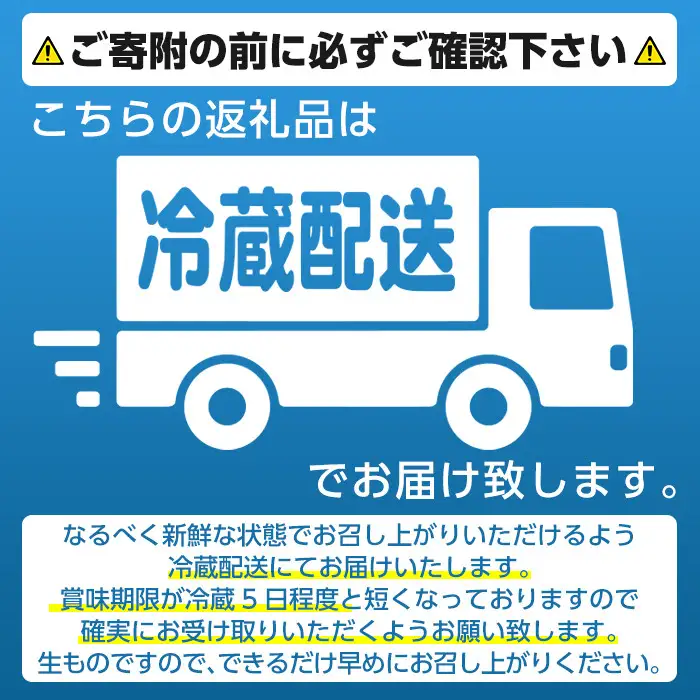 ＜先行予約受付中！2026年11月下旬以降順次発送予定＞白いとうもろこし「雪やこんコーン」(10本) 国産 トウモロコシ 玉蜀黍 ホワイト コーン 野菜 糖度 イネ科 数量限定 期間限定 【うとさんち】akn067-09