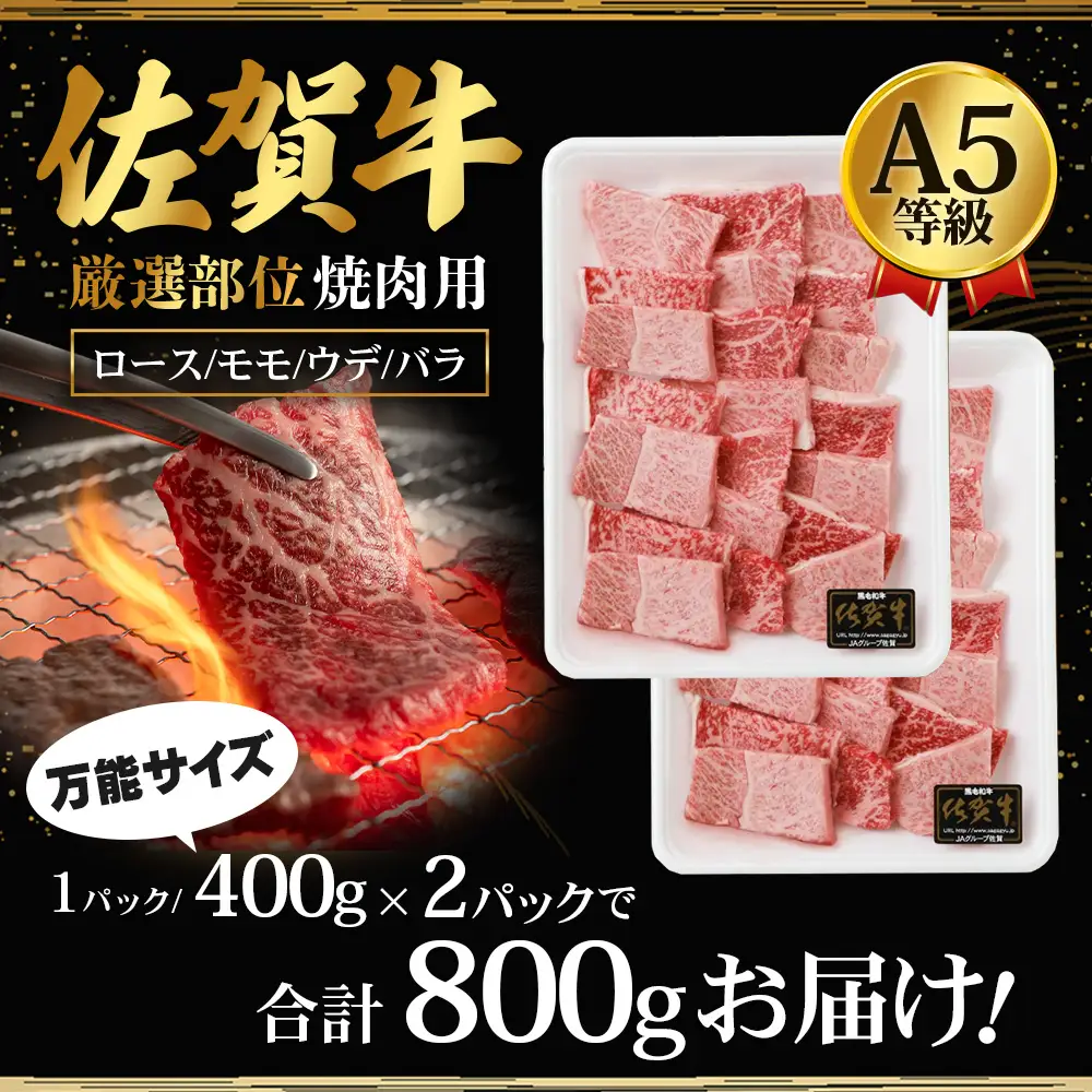A5等級 佐賀牛 焼肉用 800g(400g×2P)【厳選部位】佐賀牛ロース 佐賀牛モモ 佐賀牛ウデ 佐賀牛バラ【美味しい佐賀牛を贅沢に】佐賀牛のうま味 D-183