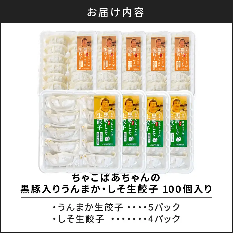 ちゃこばあちゃんの黒豚入りうんまか・しそ生餃子 計100個入り K027-006 肉 豚肉 惣菜 総菜 冷凍