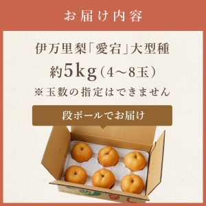 【令和8年産先行予約】伊万里梨 「愛宕」 約5kg 大型種 178-B944