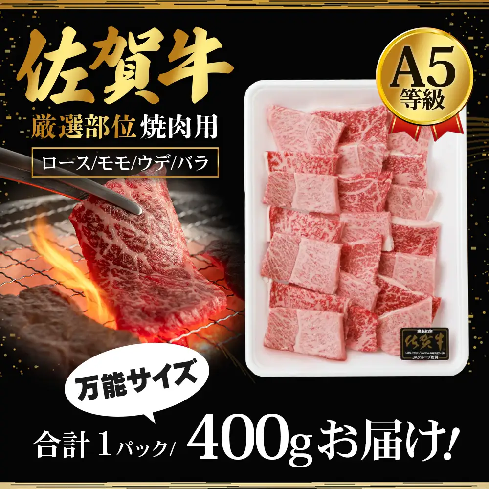 A5等級 佐賀牛 焼肉用 400g【厳選部位】佐賀牛ロース 佐賀牛モモ 佐賀牛ウデ 佐賀牛バラ【美味しい佐賀牛を贅沢に】佐賀牛のうま味 B-616