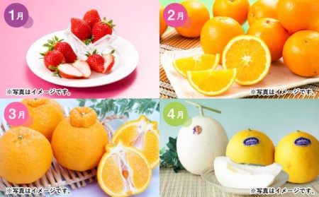 【3か月連続定期便】熊本便り！旬のフルーツ単品定期便 ｜ フルーツ くだもの 果物 旬 いちご みかん 柑橘 デコポン メロン スイカ 桃 シャインマスカット 梨 柿