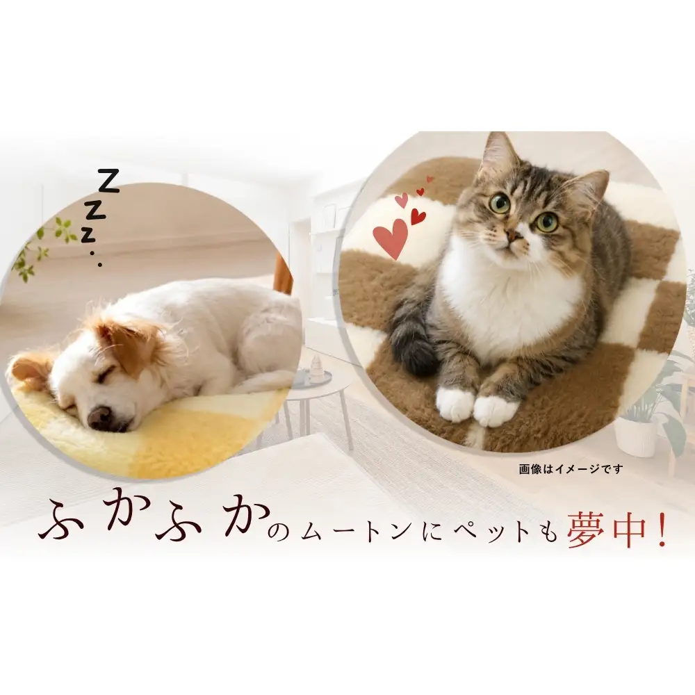 奈良 (株)マスダ製 ムートン座布団 チェック柄 ネイビー 40cm×40cm／ ムートン 羊毛皮 羊毛 スプリングラム 100％使用 座布団 ラグ インテリア オールシーズン 通年 贈り物 プレゼント 誕生日 記念日 株式会社マスダ 奈良県 宇陀市 ふるさと納税