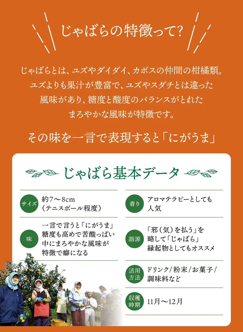  じゃばらウォーター510ml 1ケース（24本）【njb161A】