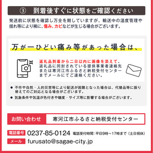 【保護包装品】令和8年産 秀品 洋梨「ラ・フランス」5kg サイズおまかせ 山形県産【2026年10月末頃から12月上旬頃】　019-B-JA006
