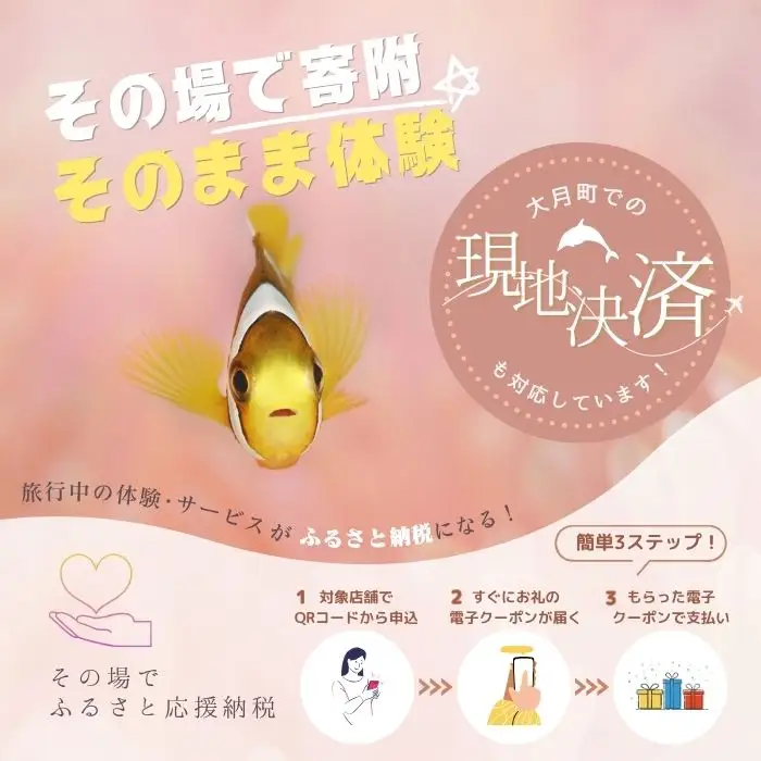 大月町共通ダイビングチケットA