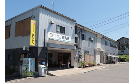 ダブルトイレットペーパー定期便「包装なしWA3」【障がい者支援の返礼品】 雑貨 日用品 生活支援 サポート 