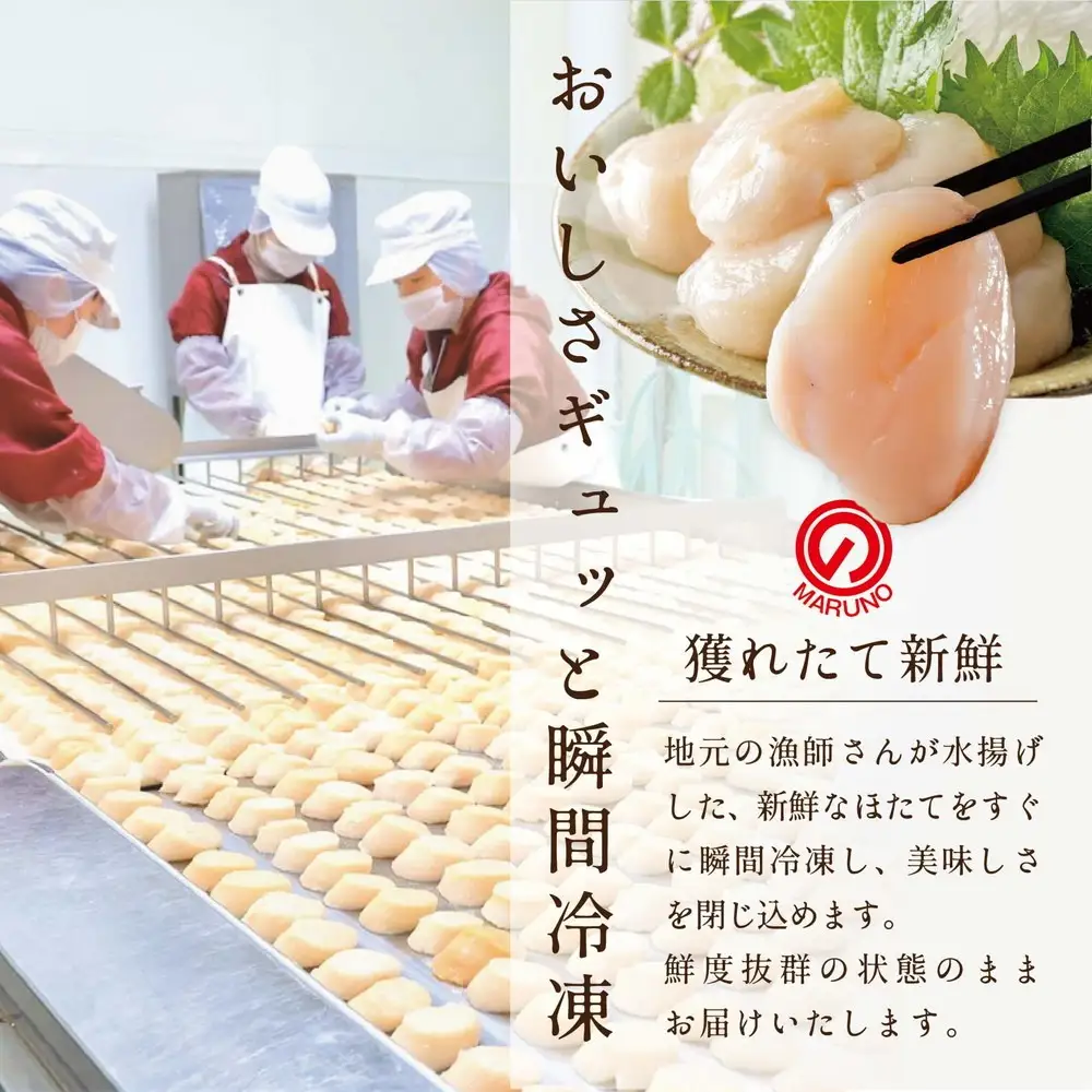 【毎月12ヶ月定期便】 北海道 野付産 漁協直送 冷凍ホタテ 貝柱大粒ホタテ500ｇ 【NKM12ND01】 （ ほたて ホタテ 帆立 貝柱 玉冷 北海道 野付 別海町 人気 ふるさと納税 ）
