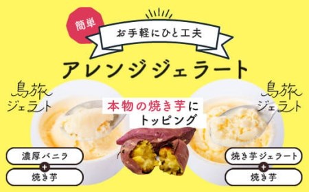 島旅 ジェラート 80ml×6種8個 セット アイス　AS-590