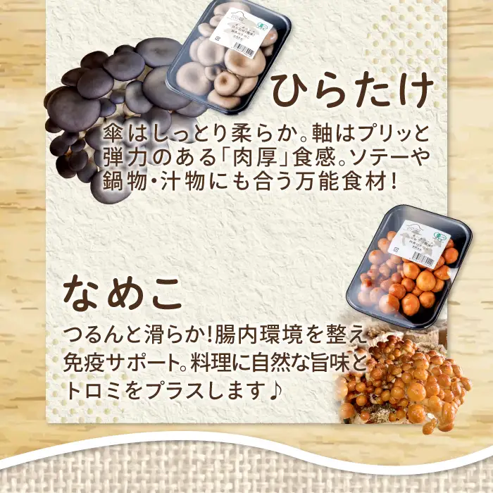 オーガニックきのこバラエティ小セット約800g（5種9パック入）