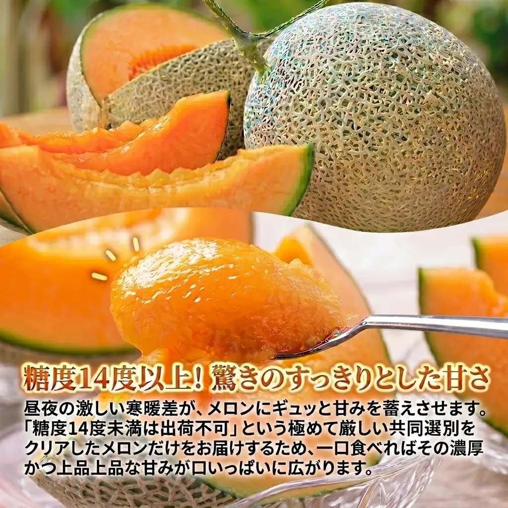 メロン 北海道 追分アサヒメロン〔秀品〕2玉（5玉サイズ）安平町産【1395534】