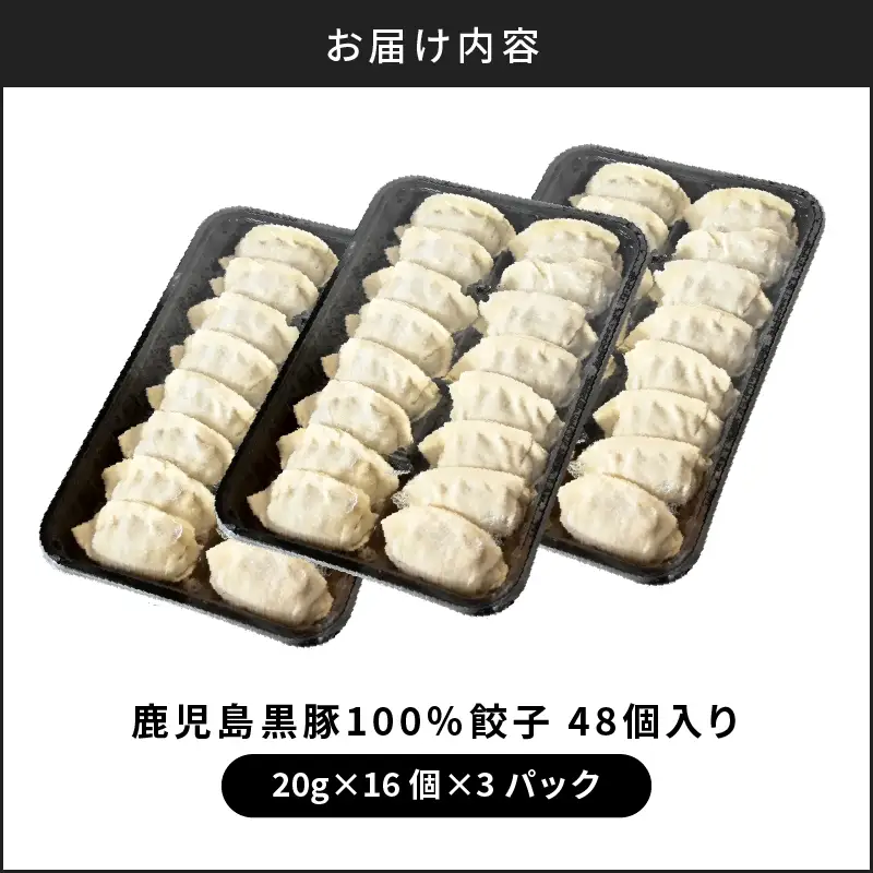 【第1回 日本全国！ ご当地冷凍食品大賞 2024-2025 優秀賞受賞！】鹿児島黒豚100%餃子 48個入り K027-008 肉 豚肉 惣菜 総菜 冷凍