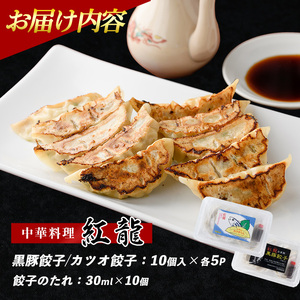 カツオ餃子・黒豚餃子食べ比べセット 紅龍 IB131-002 餃子 餃子 