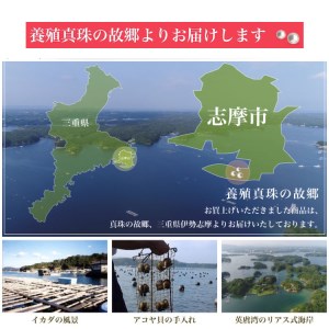 真珠 ネックレス ピアス セット パール 7.5～8.0 ミリ 三重県 伊勢志摩 志摩 アクセサリー ギフト プレゼント お祝い 母の日 入学式 卒業式 結婚式 冠婚葬祭 成人祝い 結婚祝い / 老舗の 真珠 専門店・ 高品質 アコヤ真珠 ネックレス セット 7.5～8.0ミリ （ イヤリング セット ）