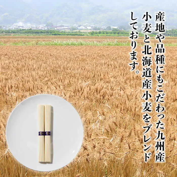 島原手延そうめん 山道そうめん 特級品 50g×5束×2袋 / そうめん 島原そうめん 手延べ 麺 素麺 / 南島原市 / そうめんの山道 [SDC004]