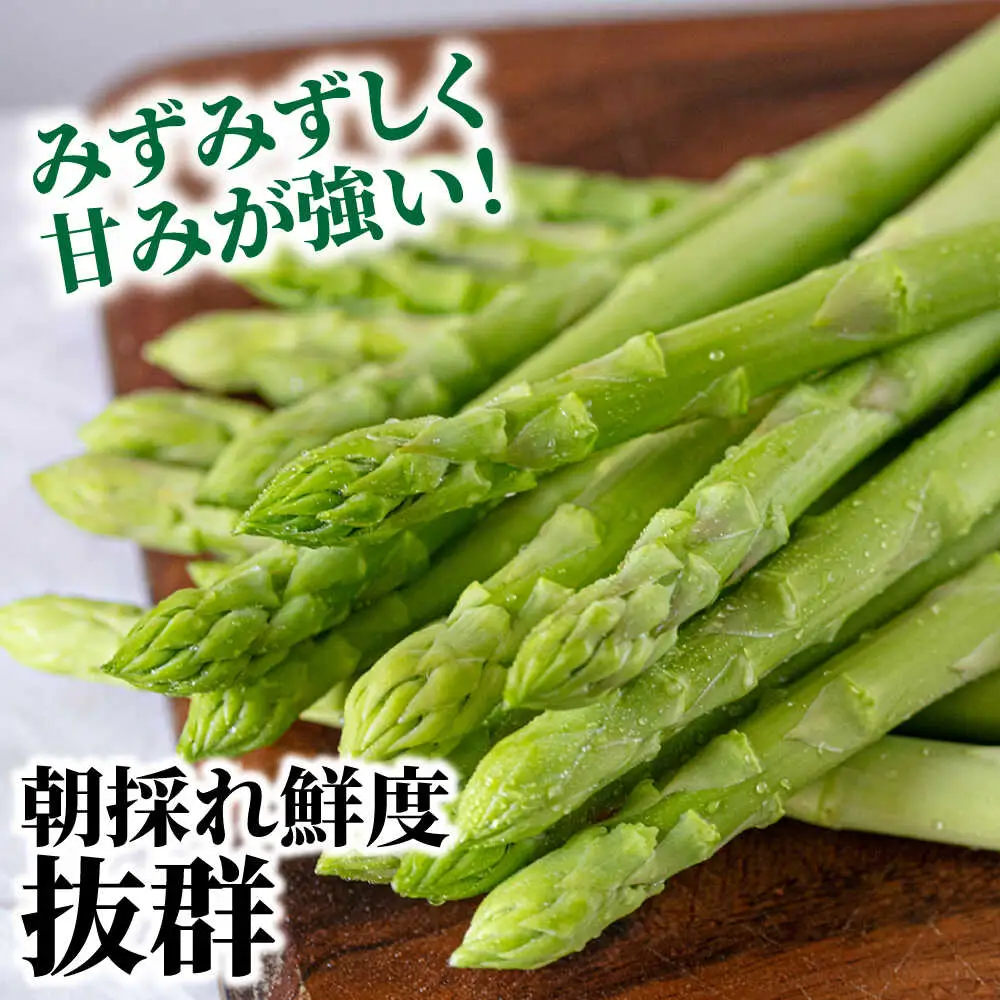 【ふるなびWEEK対象】【2026年5月下旬-発送】星の アスパラ / グリーンアスパラガス 1kg[SEY001] 