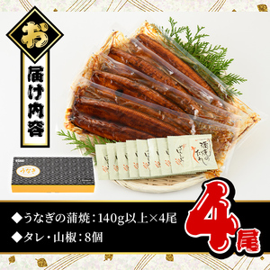 うなぎ 無投薬 鹿児島県産 ＜上＞ (計560g以上・ 140g以上×4尾) うなぎ 【西日本養鰻】B144-v01