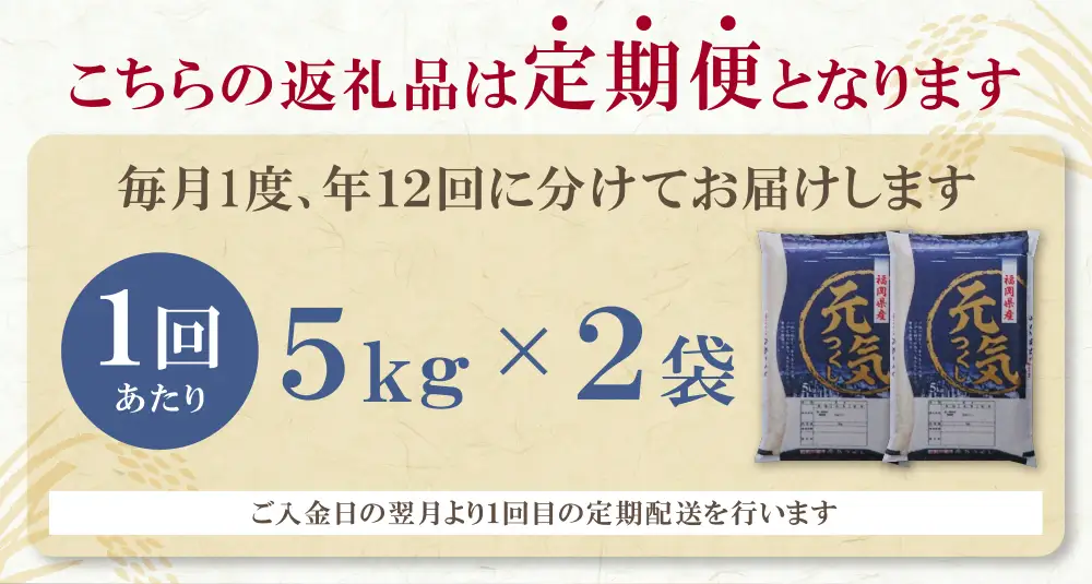 Z17-87 研ぐお米福岡県産・元気つくし10kg定期便(毎月・年12回)