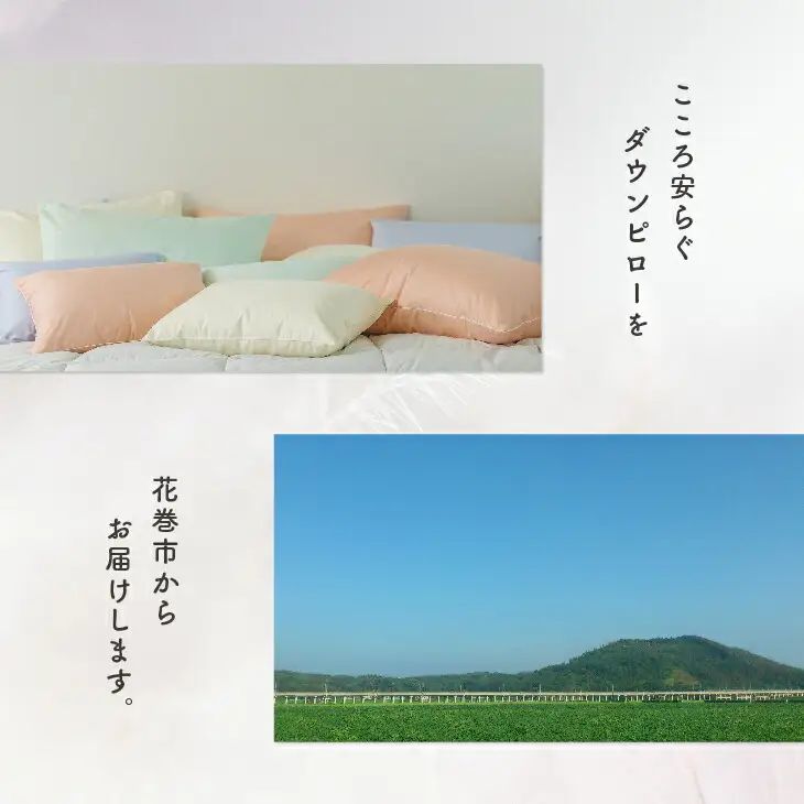 ダウンピロー［大きいサイズ：50×70cm・ピンク］ 綿100％×ホワイトダック ダウン50% 羽毛枕【富士新幸 花巻工房】【1590】
