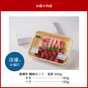 宮崎牛おまかせ焼肉セット N023-YZA304