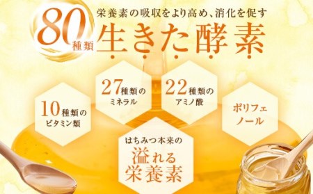 CS-008　【先行予約】天然はちみつ 780g（130g×6個）【6月以降順次発送】 (H-21)