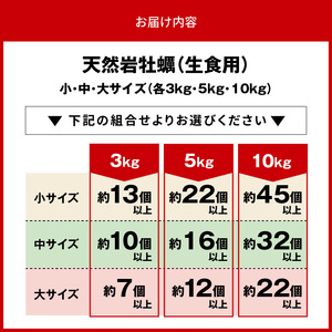 延岡産天然岩牡蠣（生食用）10kg（大）（2026年4月15日から発送開始）N036-YZD027