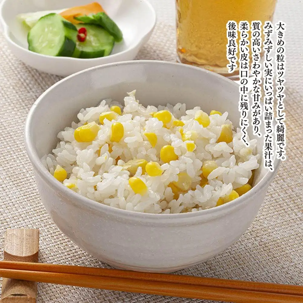 【先行予約】象もろこし（ライオンコーン）大きいサイズのトウモロコシ　480ｇ以上8本入り(2025年8月下旬～発送開始) | トウモロコシ  _01412