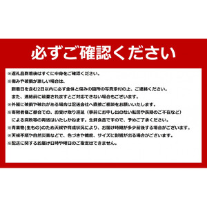 【先行予約】北海道赤肉メロン 2kg 2玉入り 合計4.0kg（2026年7月中旬から発送開始）| メロン _01988