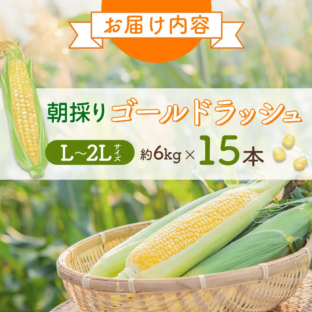 【先行予約】朝採り とうもろこし ゴールドラッシュ 6kg (L～2Lサイズ×15本) (2026年8月中旬発送) | とうもろこし 北海道 _01707