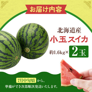 【先行予約】北海道産小玉スイカ1.6kg×2玉 (2026年7月中旬から発送開始) | スイカ _02063