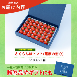 2026年12月上旬～発送 鹿児島県指宿市産 さくらんぼ トマト 薩摩の恋心 35個入 シナジーブリーディング IB077-001 ミニトマト ミニトマト