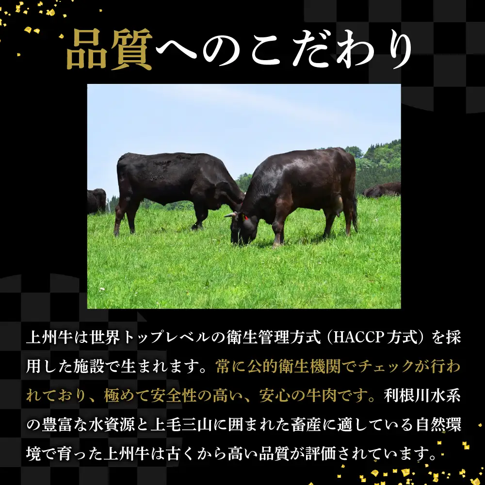 牛肉 ロース 【上州牛】 1.0kg（500g×2パック）  群馬 県 千代田町 ※沖縄・離島配送不可 