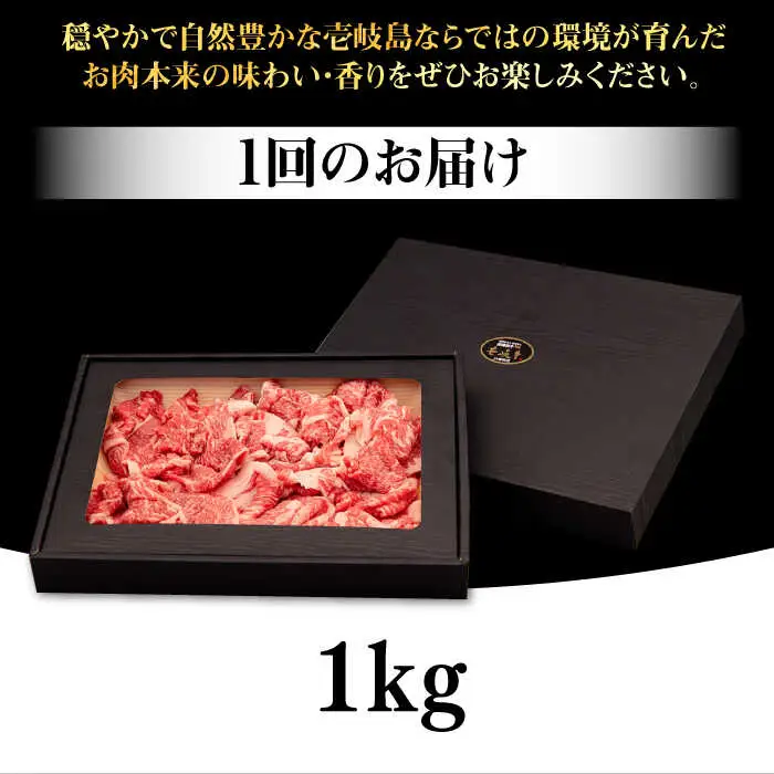 【全3回定期便】 壱岐牛 切り落とし 1kg《壱岐市》【株式会社イチヤマ】 肉 牛肉 切落し すき焼き しゃぶしゃぶ [JFE021] 114000 114000円