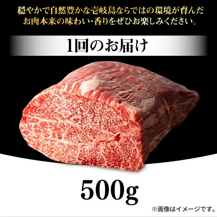 【全3回定期便】 壱岐牛 モモブロック 500g［化粧箱無し］《壱岐市》【株式会社イチヤマ】 肉 牛肉 モモ ブロック ステーキ BBQ [JFE023] 72000 72000円