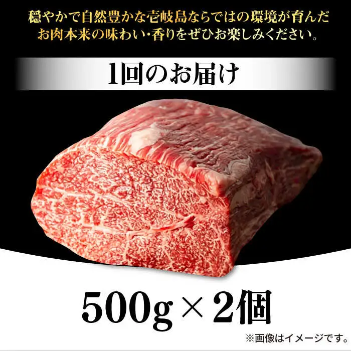 【全3回定期便】 壱岐牛 モモブロック 1kg（500g×2枚）［化粧箱無し］《壱岐市》【株式会社イチヤマ】 肉 牛肉 モモ ブロック ステーキ [JFE024] 135000 135000円