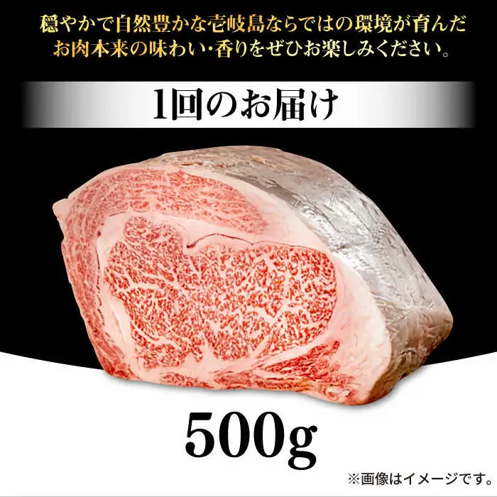 【全6回定期便】 壱岐牛 ロースブロック 500g《壱岐市》【株式会社イチヤマ】 肉 牛肉 ロース ブロック ステーキ BBQ [JFE037] 186000 186000円