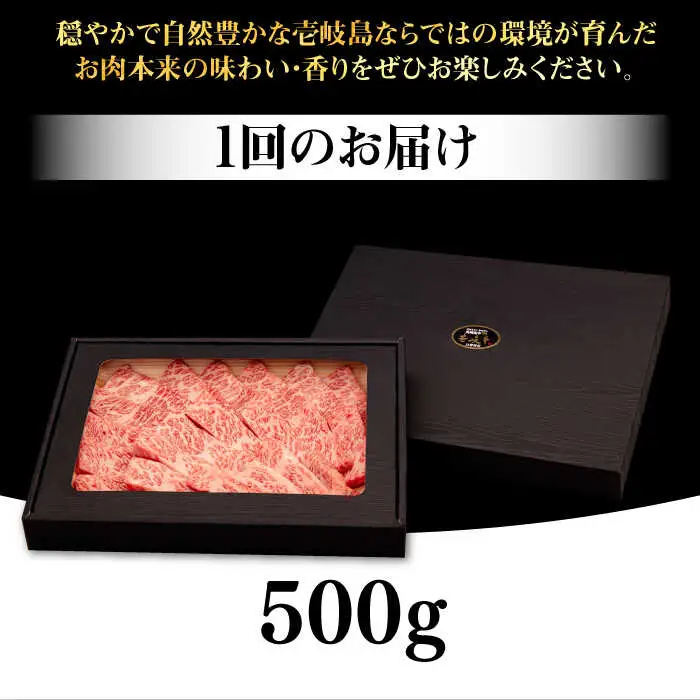 【全12回定期便】 壱岐牛 焼肉用 バラ（カルビ）500g《壱岐市》【株式会社イチヤマ】 肉 牛肉 焼肉 バラ カルビ BBQ [JFE046] 360000 360000円